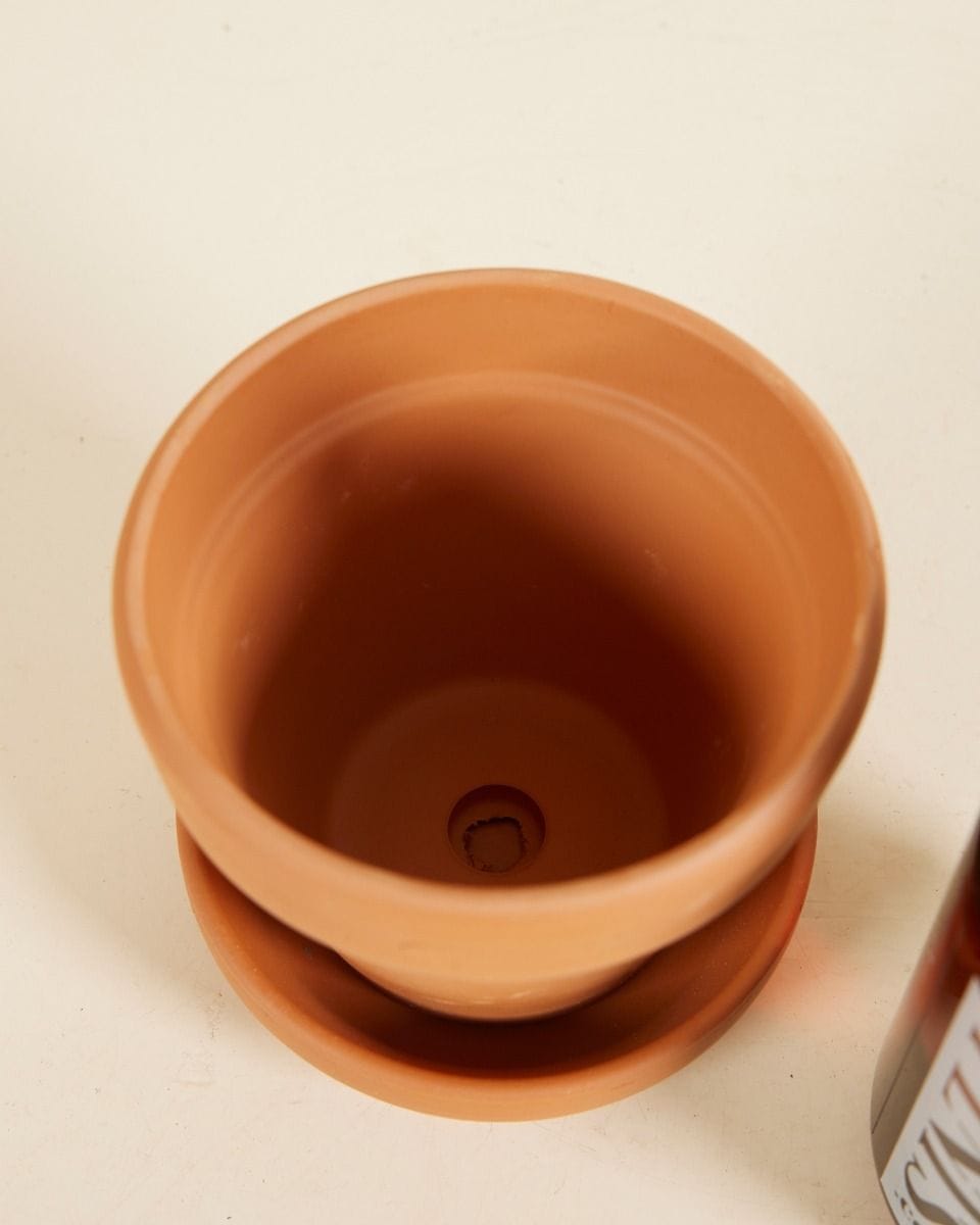 Grow Set 1 Terracotta 9cm, Plant Nutrition