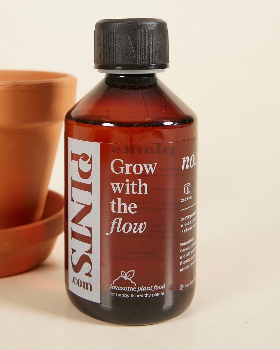 Grow Set 2 Terracotta 11cm, Plant Nutrition