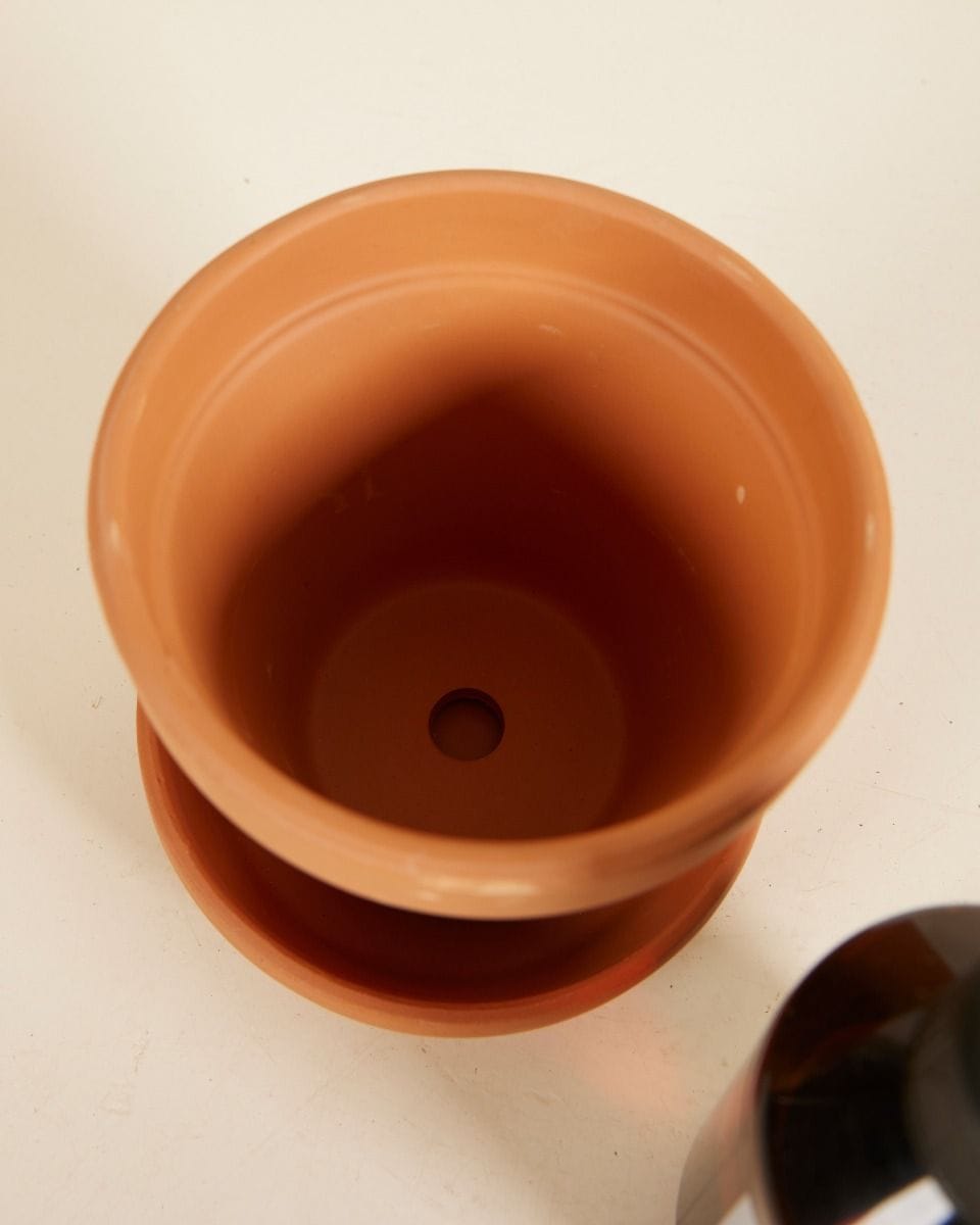 Grow Set 2 Terracotta 11cm, Plant Nutrition
