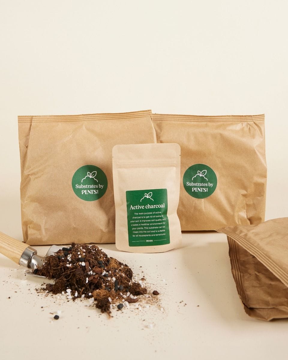 Aroïden potgrondmix kit productset
