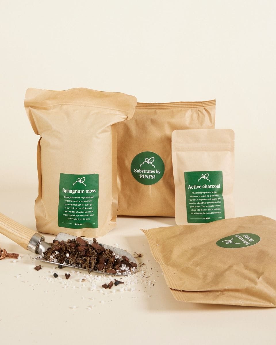 Epiphytes potting mix kit Productset
