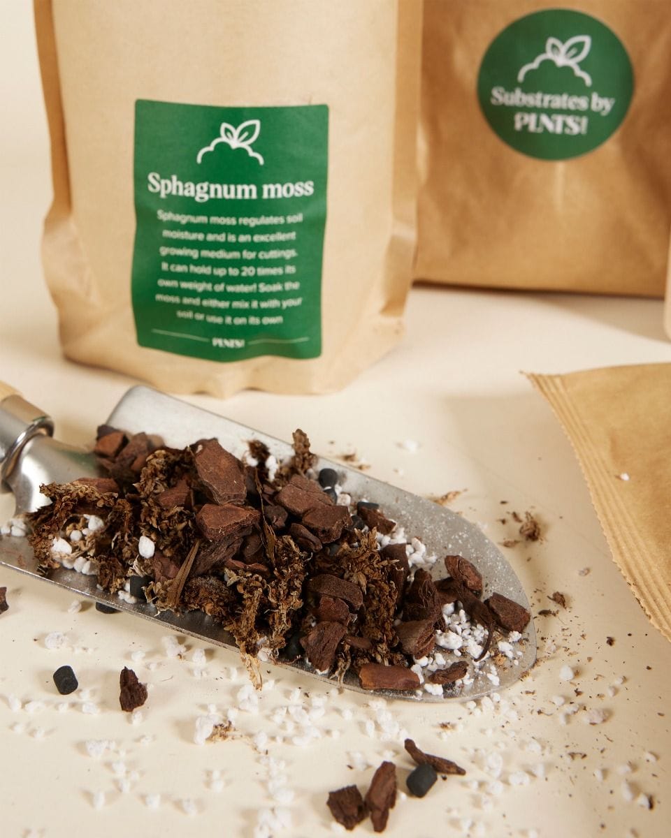 Epiphytes potting mix kit Productset