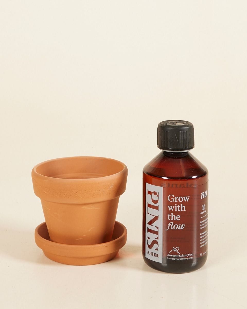 Grow Set 1 Terracotta 9cm, Plant Nutrition