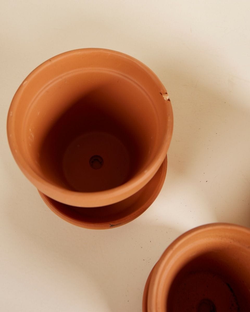 Repotting Set Terracotta 9cm, 11cm, 15cm