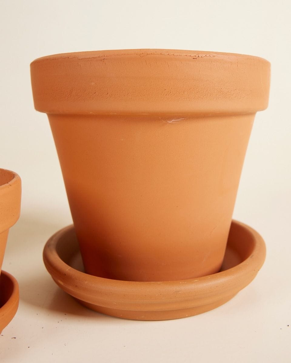 Repotting Set Terracotta 9cm, 11cm, 15cm