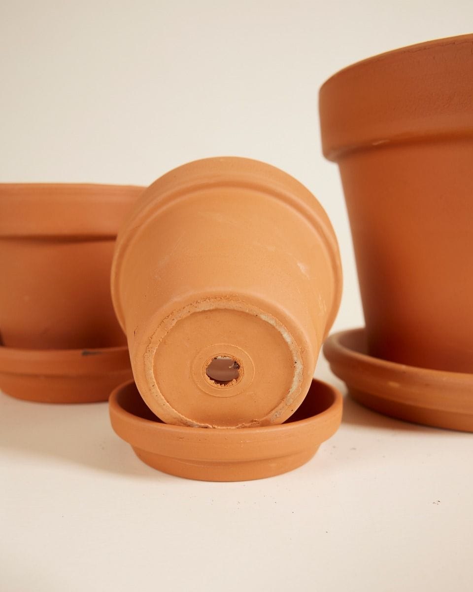 Repotting Set Terracotta 9cm, 11cm, 15cm