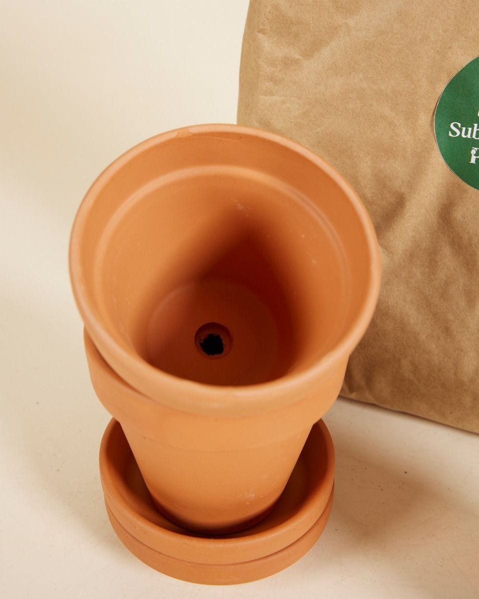 Baby Wachstums-Set 2x Topf 9cm, Boden 3l, Pflanzenernährung