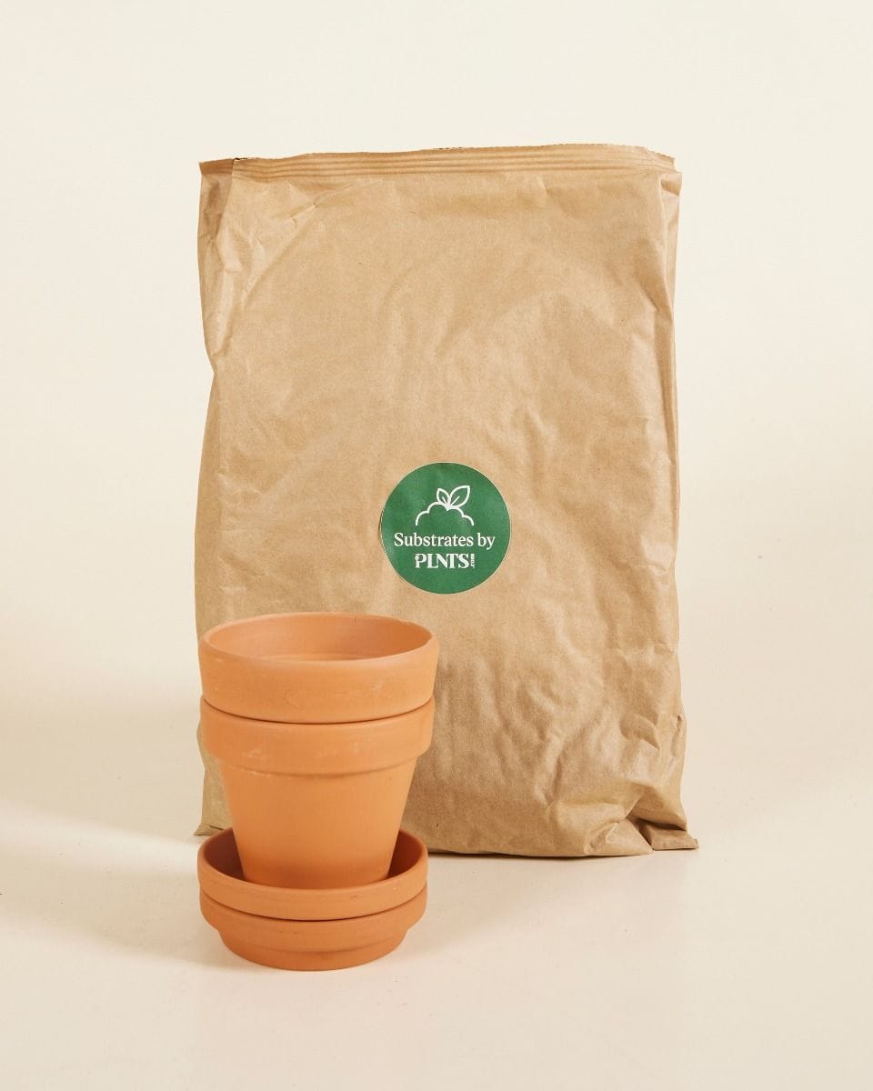 Baby Potting Set 2x Pot 9cm, Soil 3l