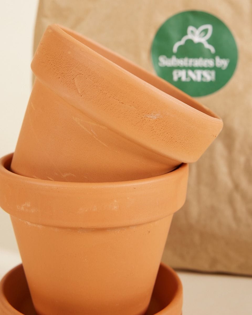 Baby Potting Set 2x Pot 9cm, Soil 3l