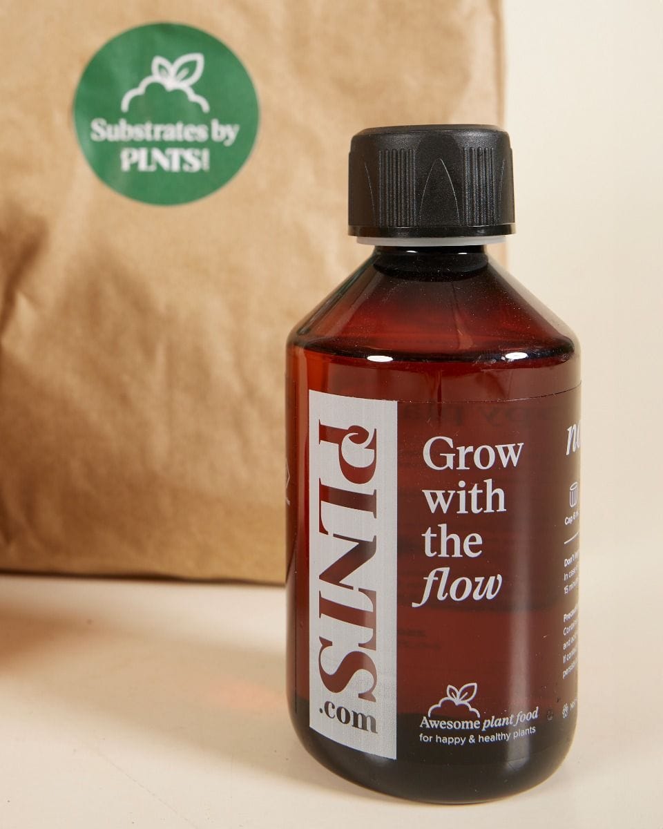 PLNTS Grow Set