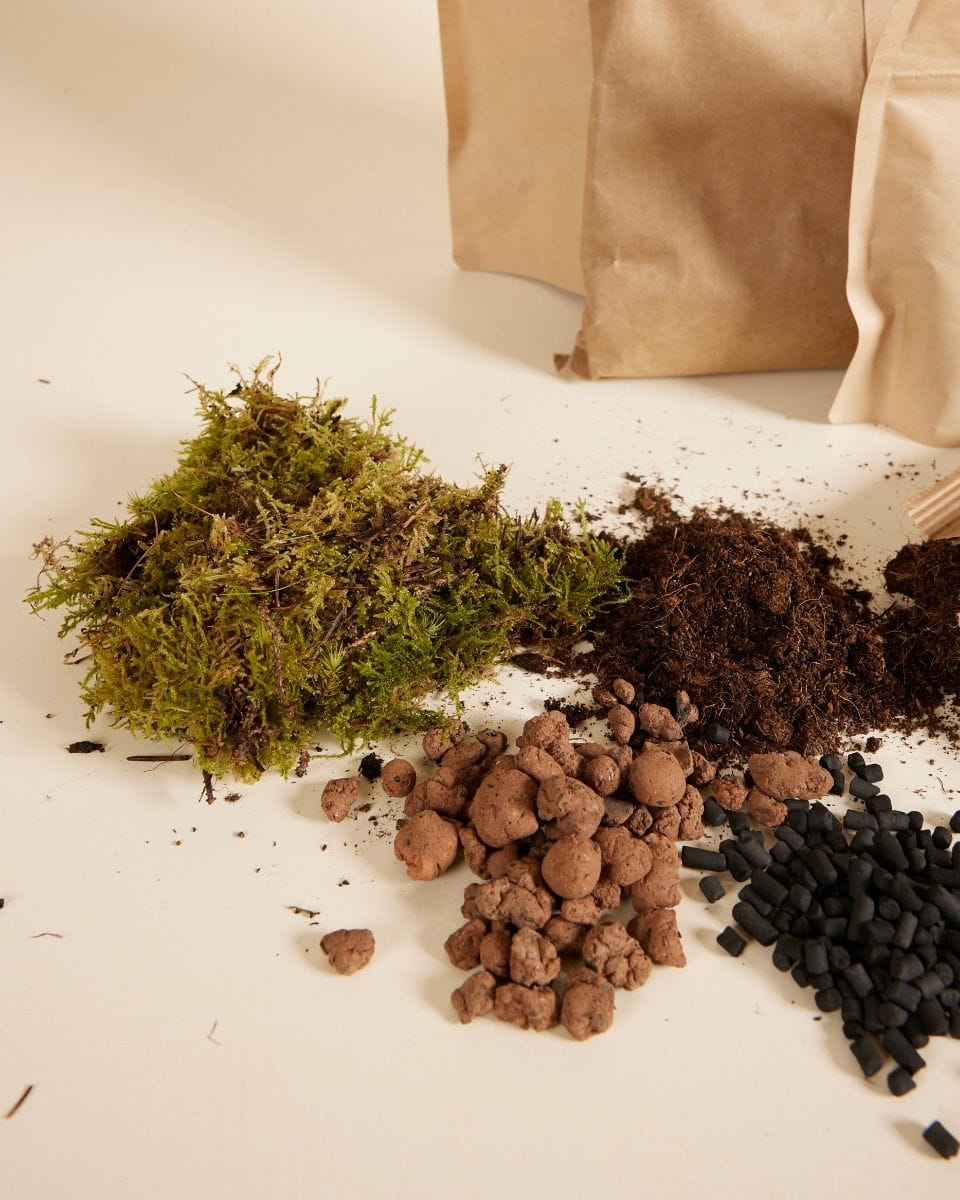 Olly Terrarium Large Starter Kit