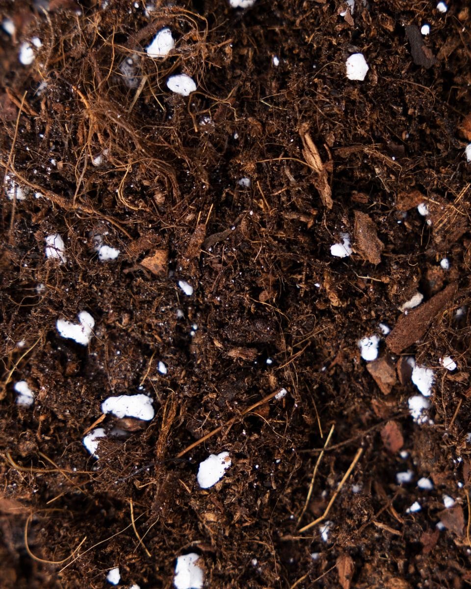 Repotting mix kit Productset