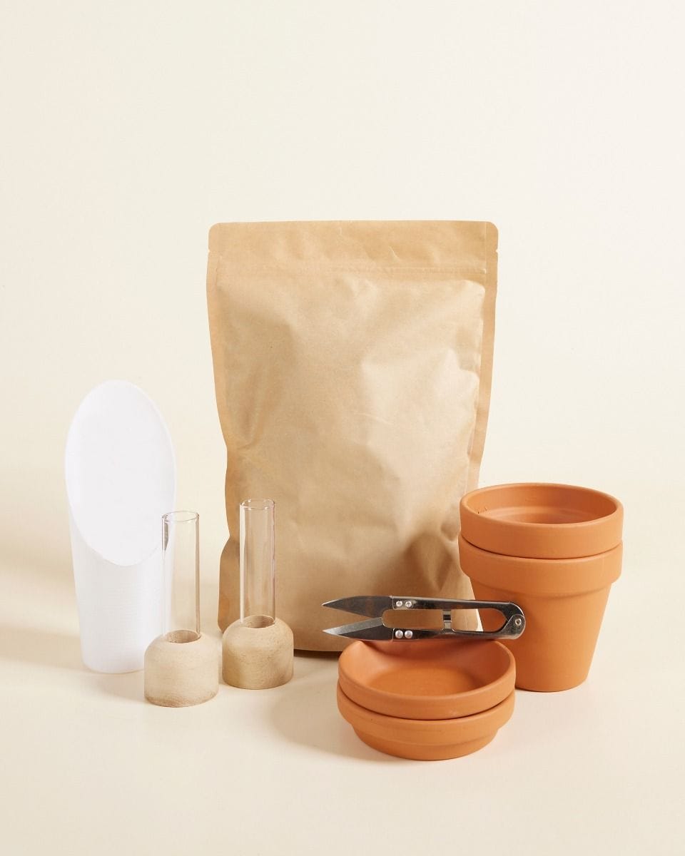 Propagation Kit Care Set