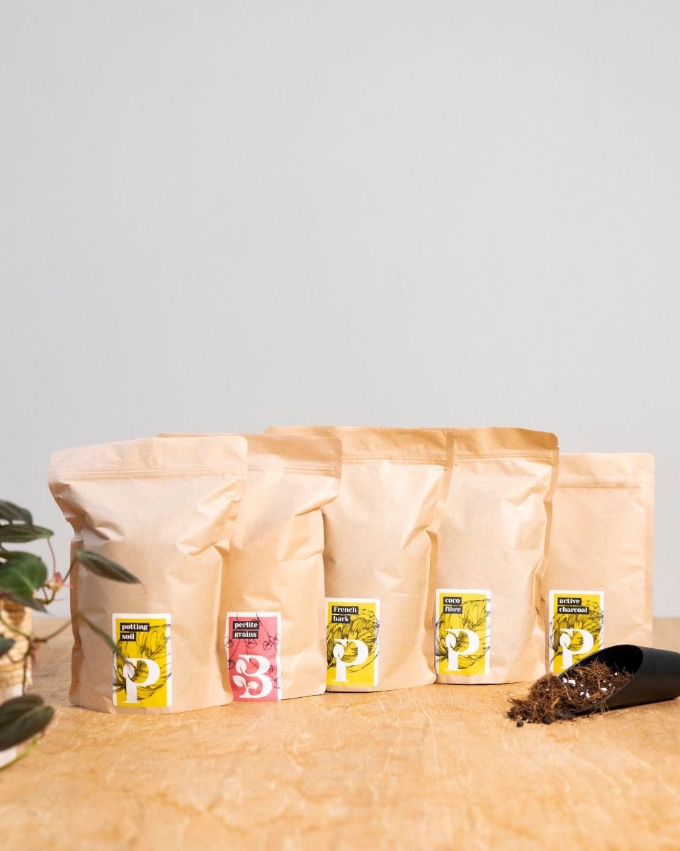 Aroids potting mix kit productset