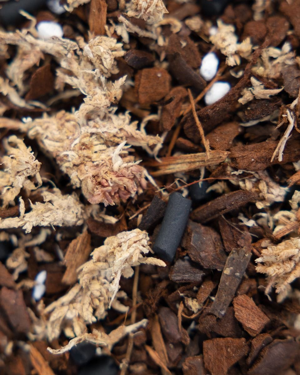 Epiphytes potting mix kit Productset