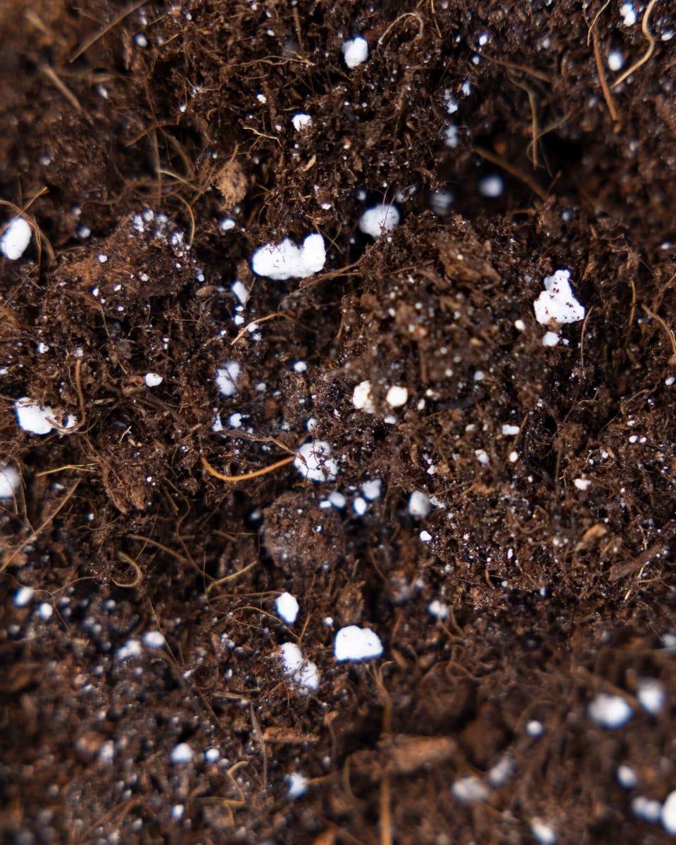 Succulents potting mix kit productset
