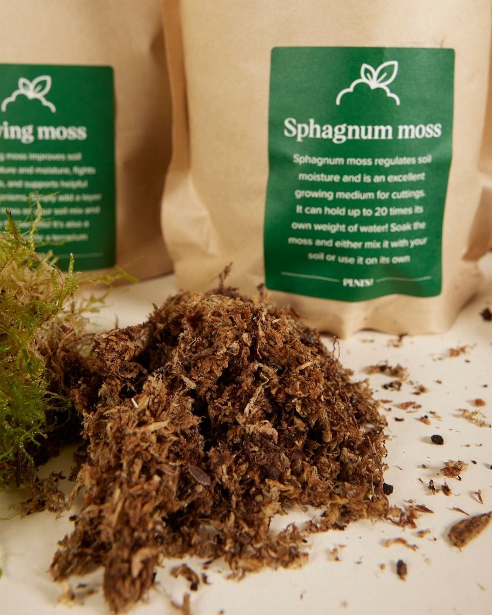 Kokedama Kit Productset