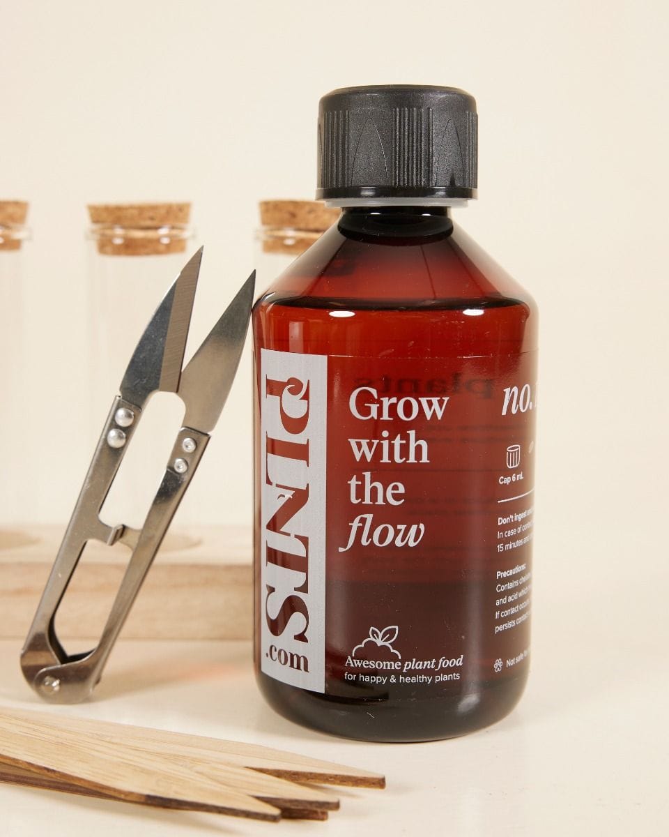 Propagation Gift Set Productset