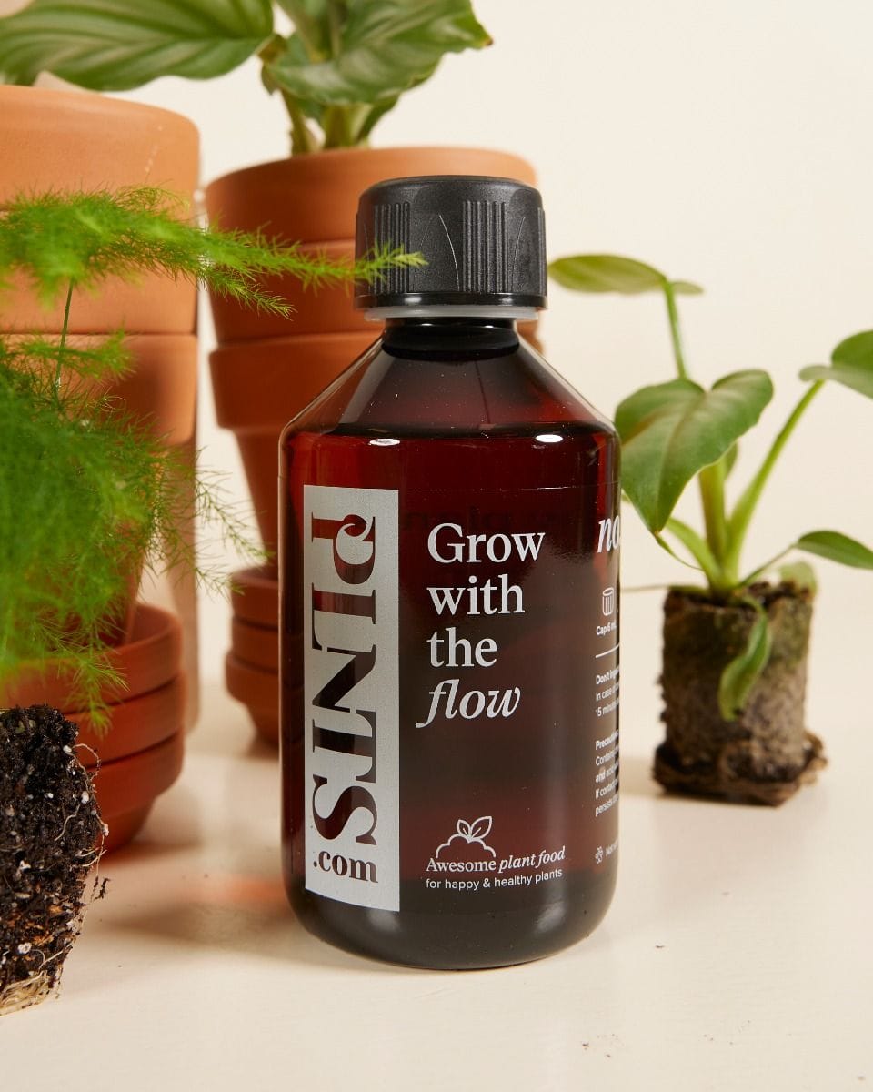 Planthobby Starterkit 6 Planten Productset