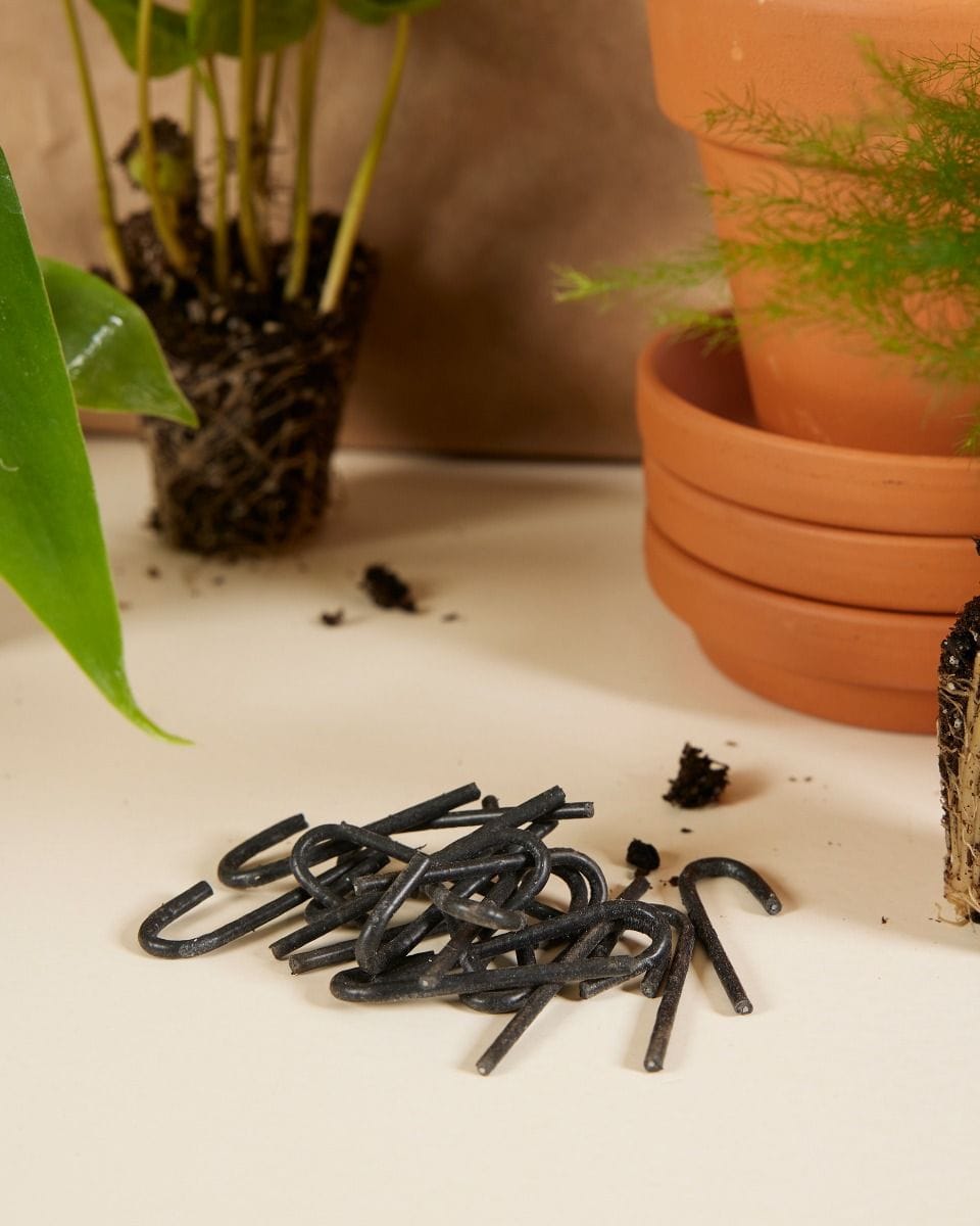 Planthobby Starterkit 6 Planten Productset