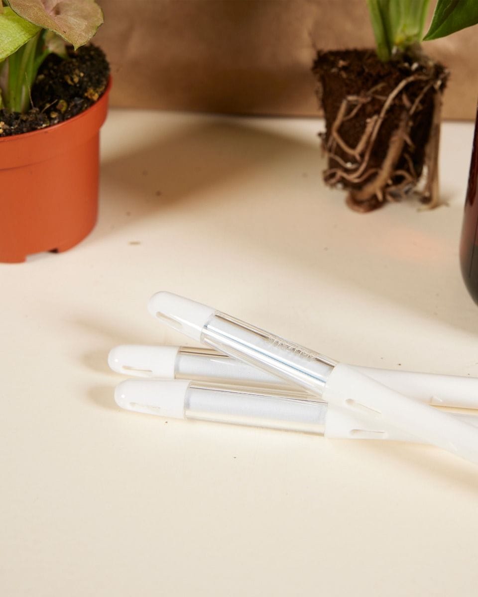 Easy Care Set 3 Plants Productset
