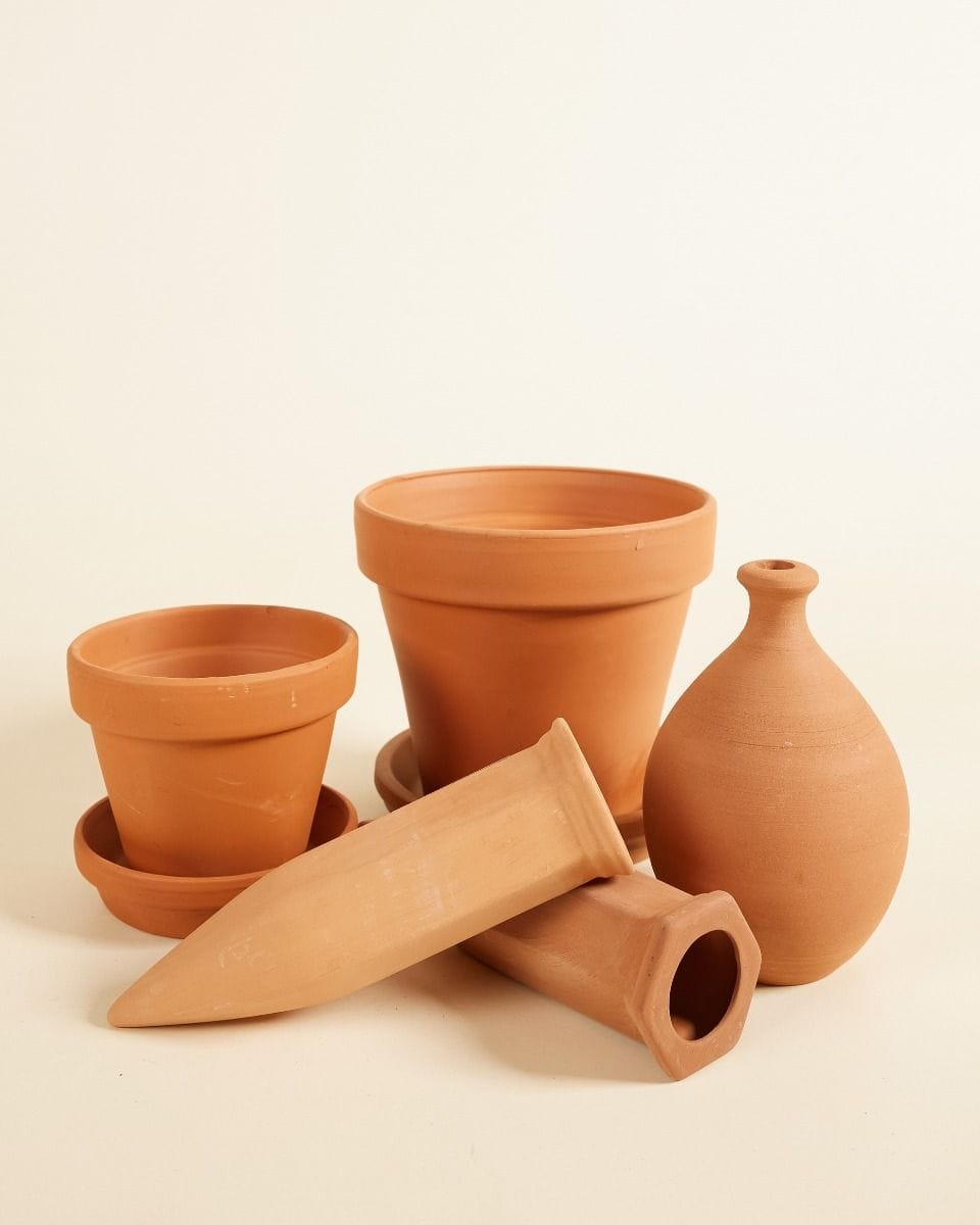 Terra Zomer Vibes Set Productset