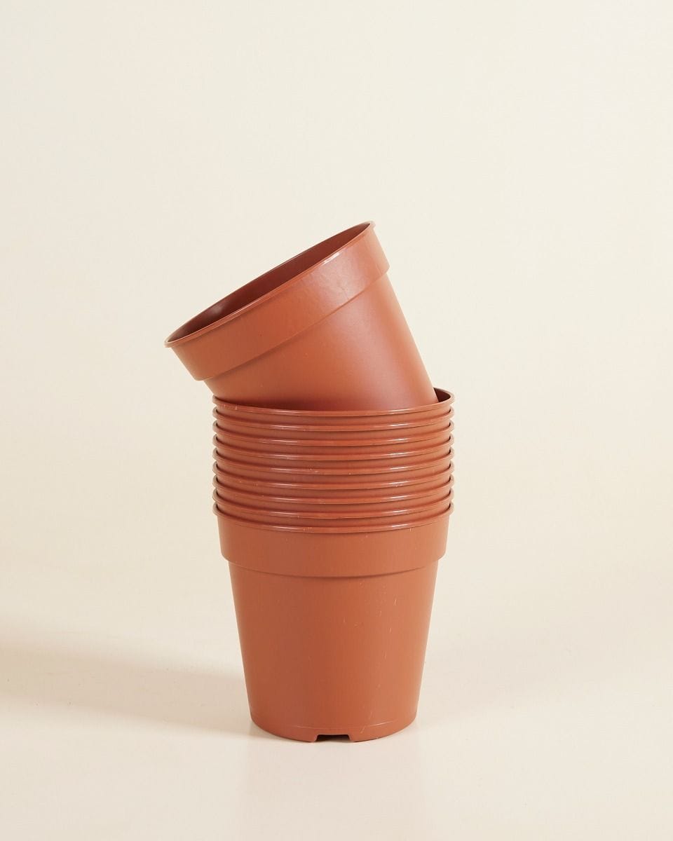 Set of 10 Nursery Planters Ø 12 cm Productset