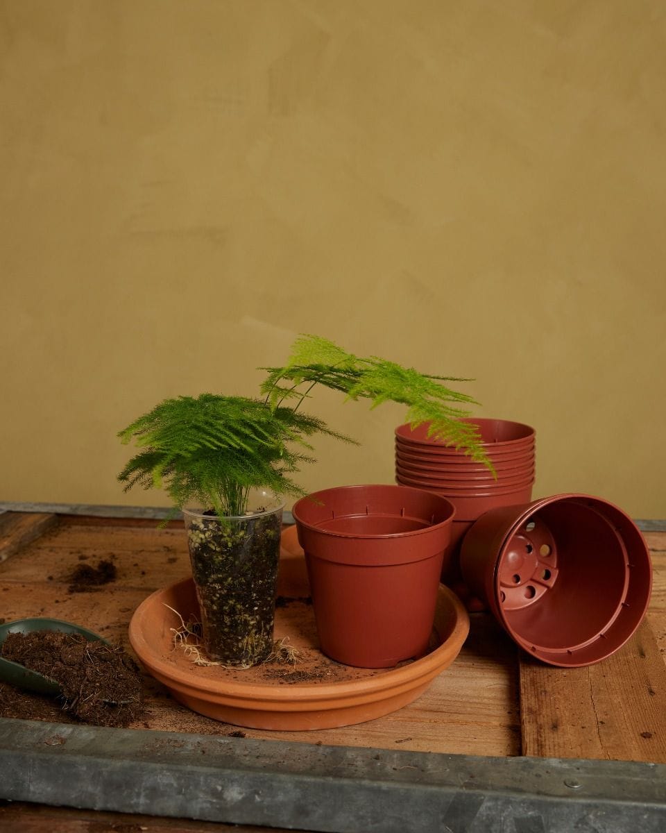 Set of 10 Nursery Planters Ø 12 cm Productset