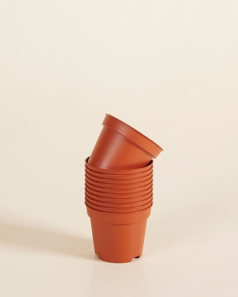 Set of 10 Nursery Planters Ø 6 cm Productset