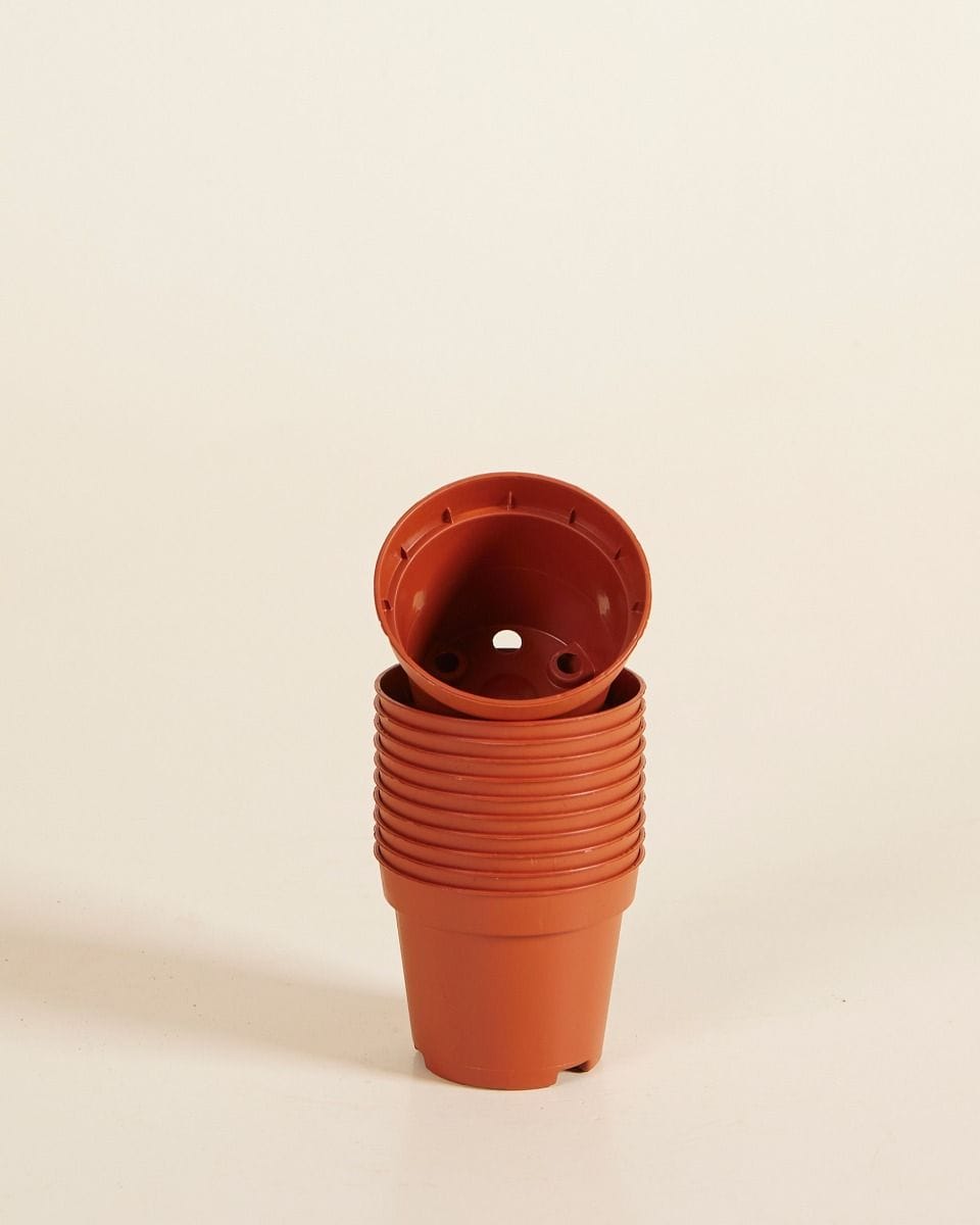 Set of 10 Nursery Planters Ø 6 cm Productset