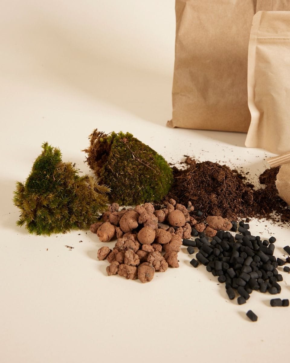 Bello Terrarium Medium Starter Kit productset