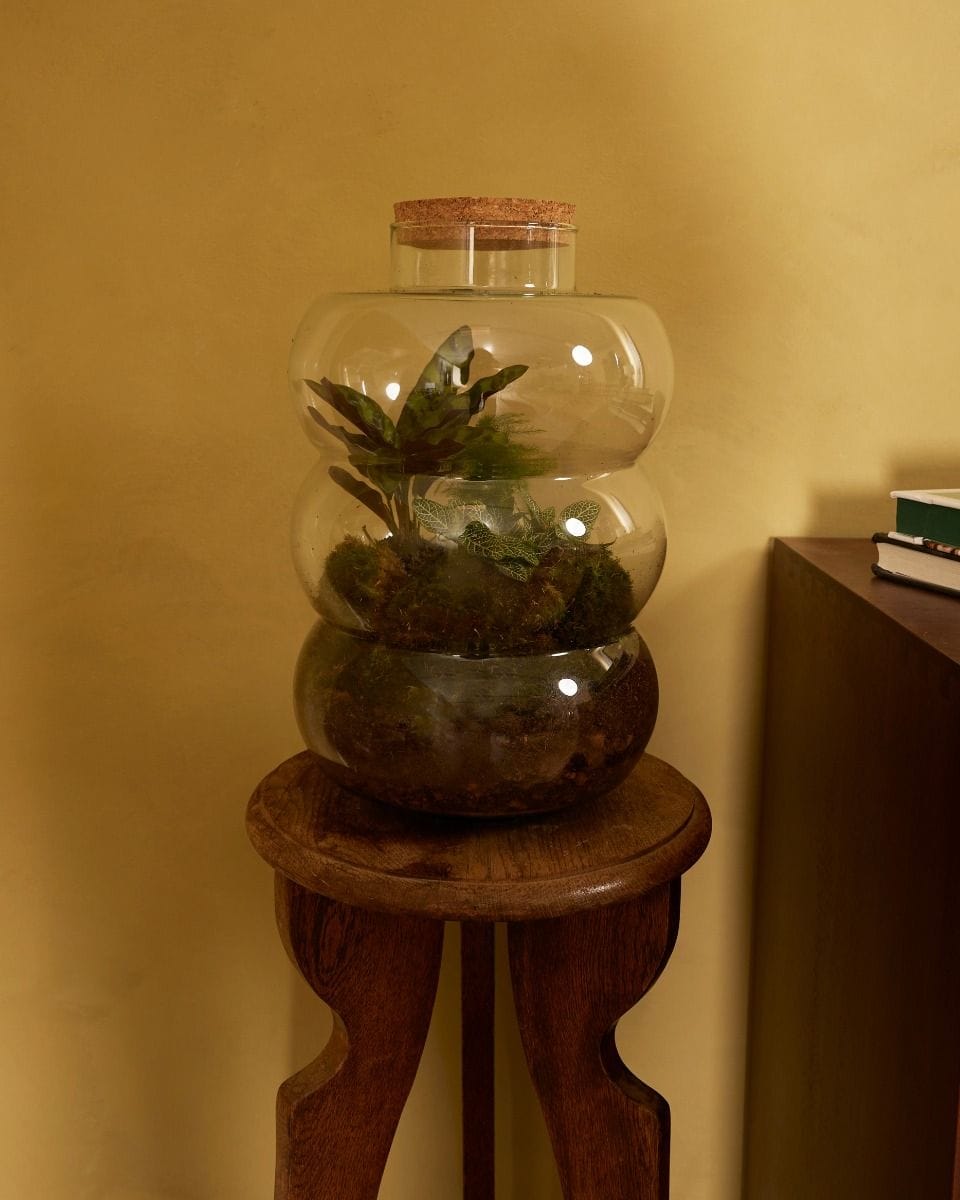 Bello Terrarium Medium Starter Kit productset