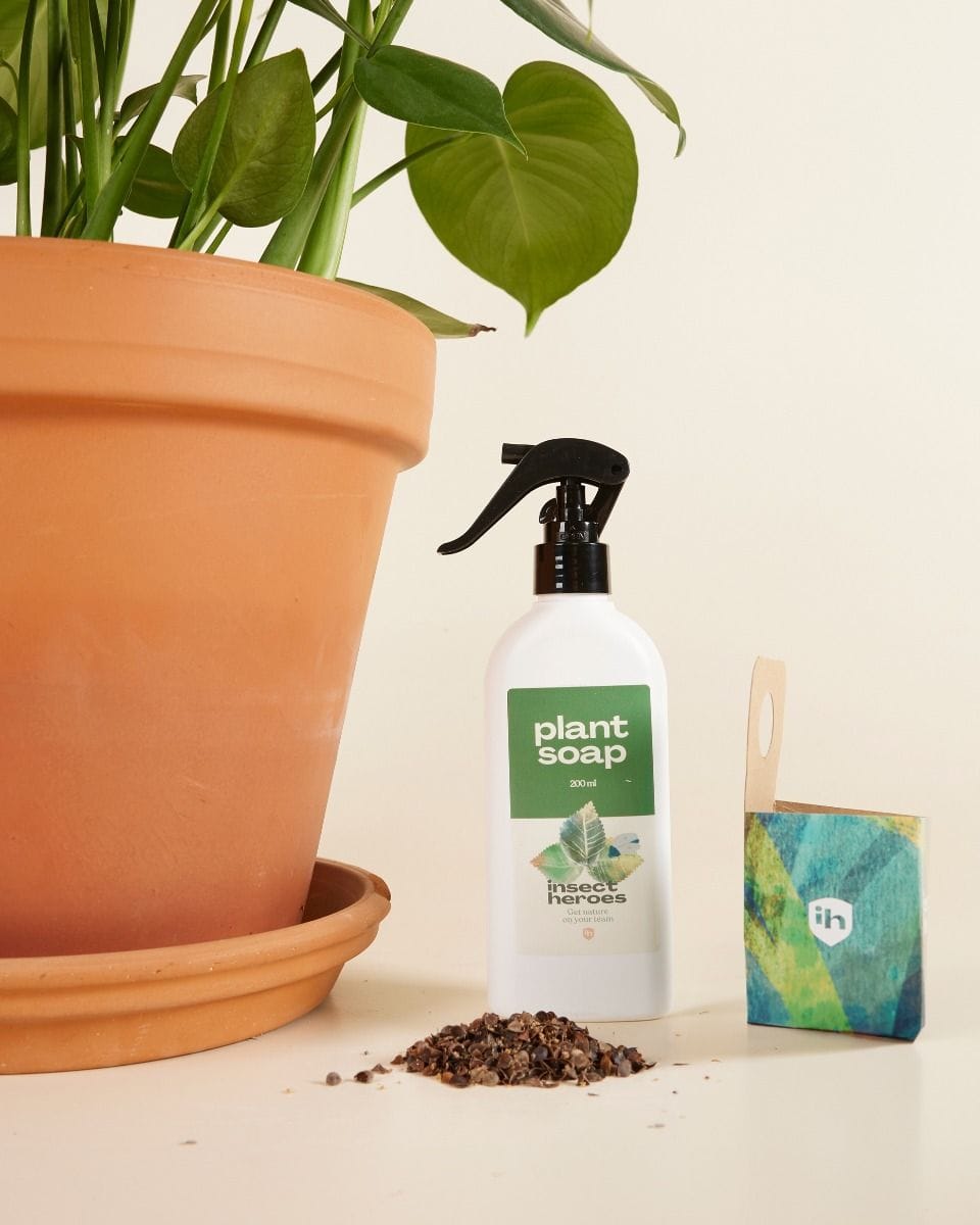 Offre combinée de lutte antiparasitaire : cochenilles farineuses Crypto + Plantsoap