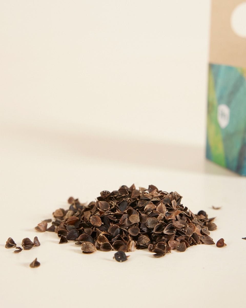 Offre combinée de lutte antiparasitaire : cochenilles farineuses Crypto + Plantsoap