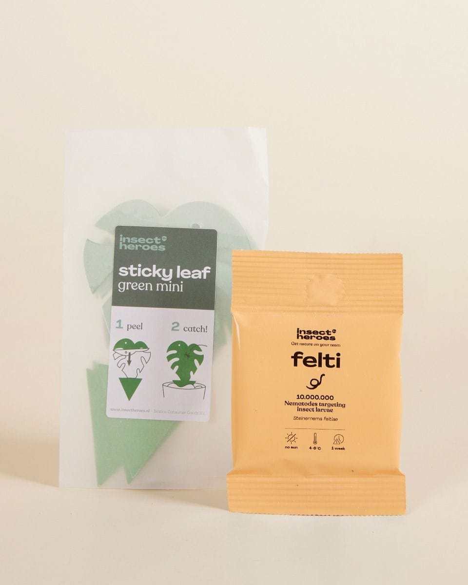 Pest control combideal: rouwvliegjes Felti + Sticky leaves