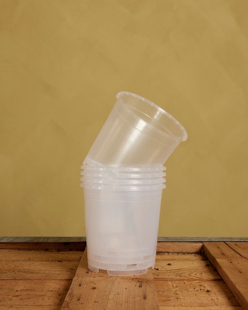 Set of 5 Nursery Planters Transparent Ø 12 cm Productset