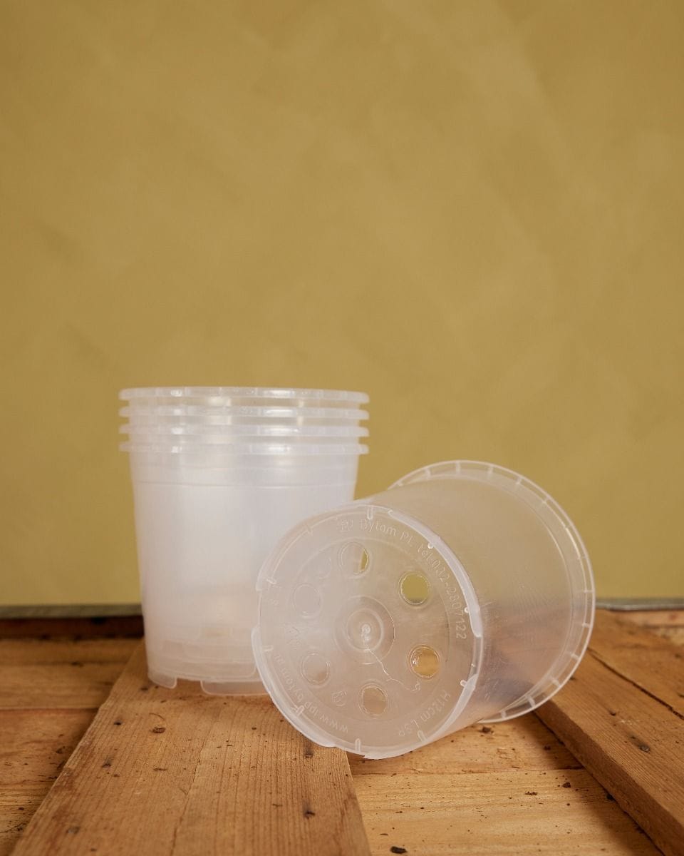 Set of 5 Nursery Planters Transparent Ø 12 cm Productset