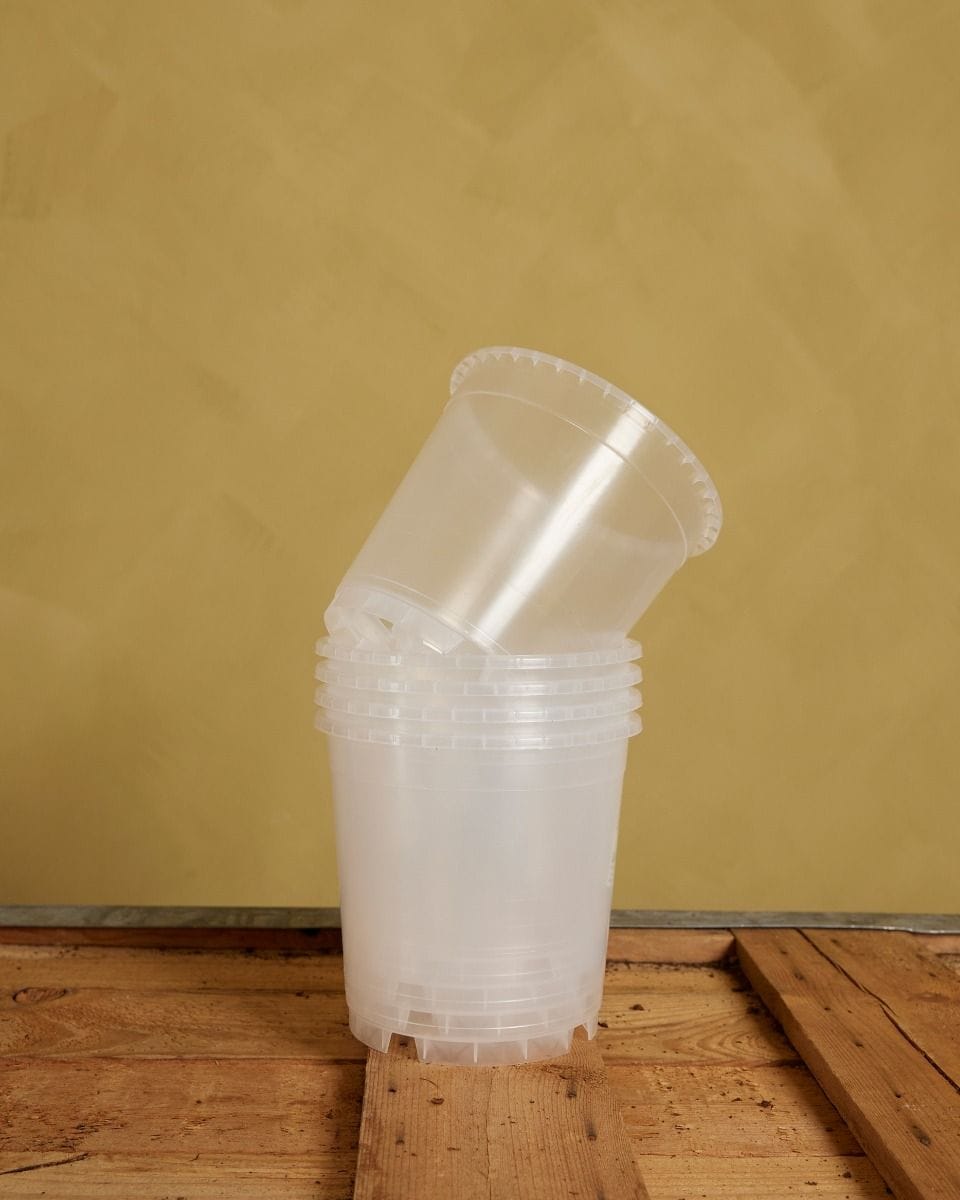 Set of 5 Nursery Planters Transparent Ø 15 cm Productset