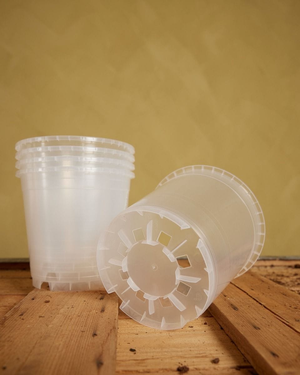 Set of 5 Nursery Planters Transparent Ø 15 cm Productset