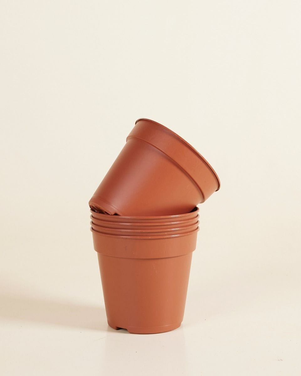 Set van 5 Kweekpotten Ø 12 cm Productset