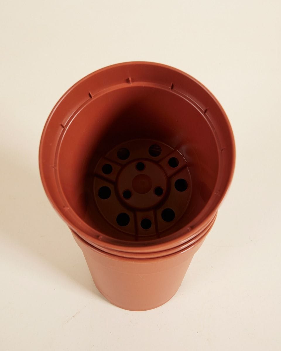 Set van 5 Kweekpotten Ø 12 cm Productset