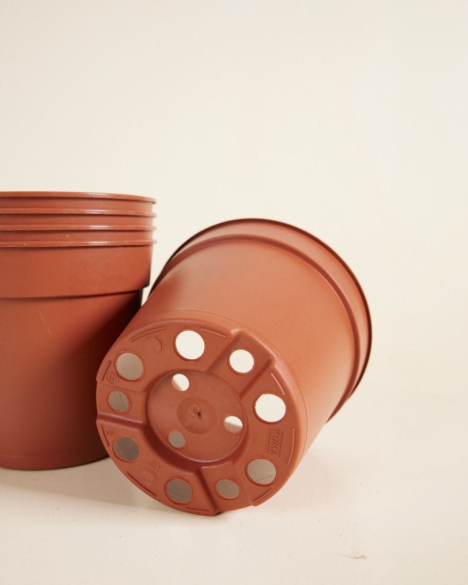 Set van 5 Kweekpotten Ø 12 cm Productset