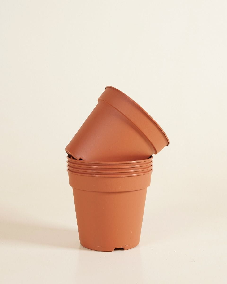 Satz mit 5 Anzuchttöpfe Ø 15 cm Productset