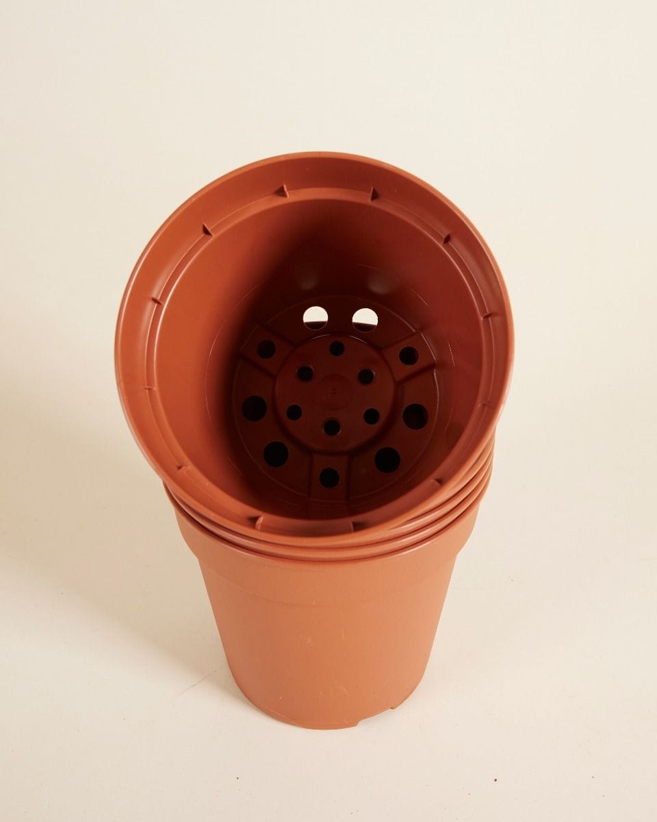 Satz mit 5 Anzuchttöpfe Ø 15 cm Productset