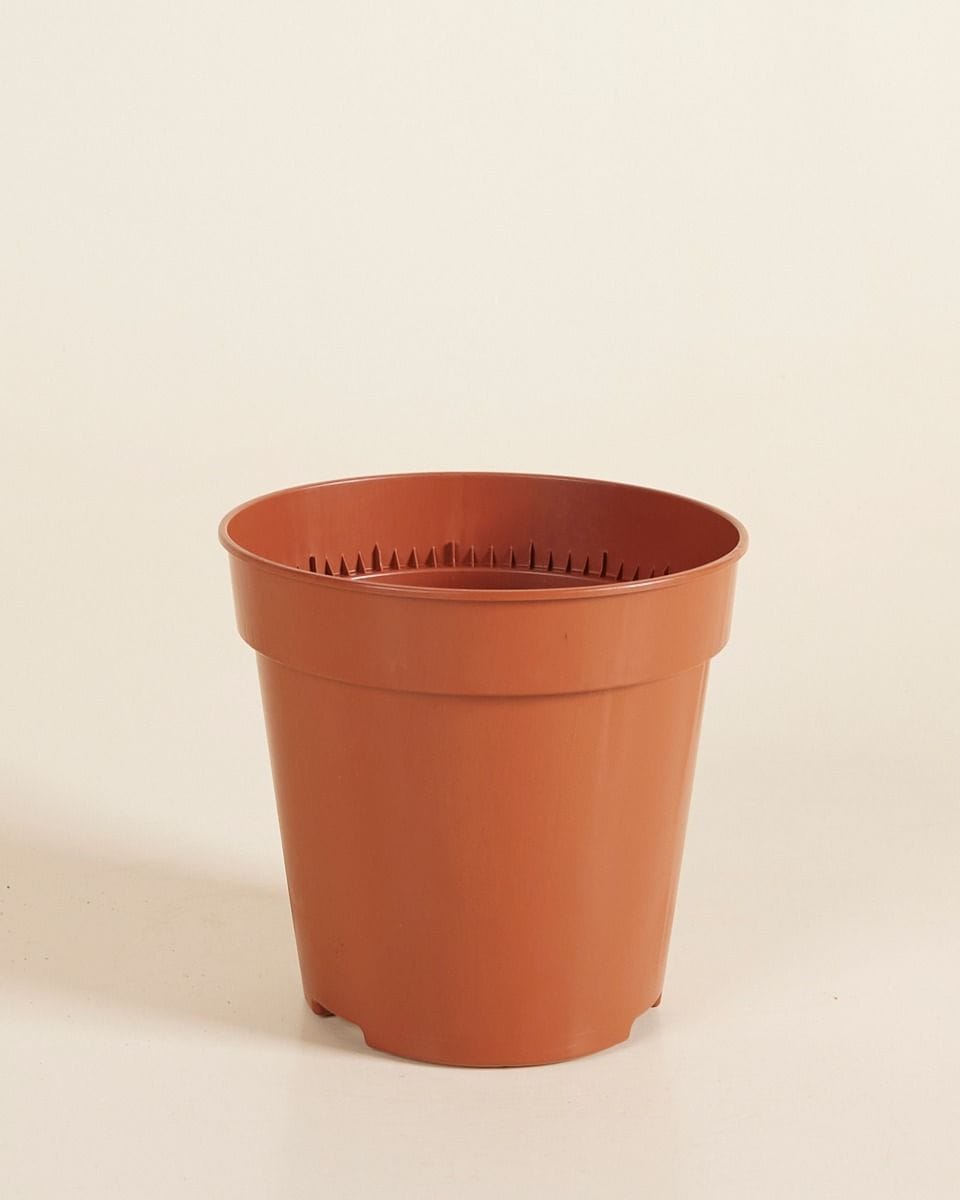 Anzuchttopf Orange Ø 15 cm