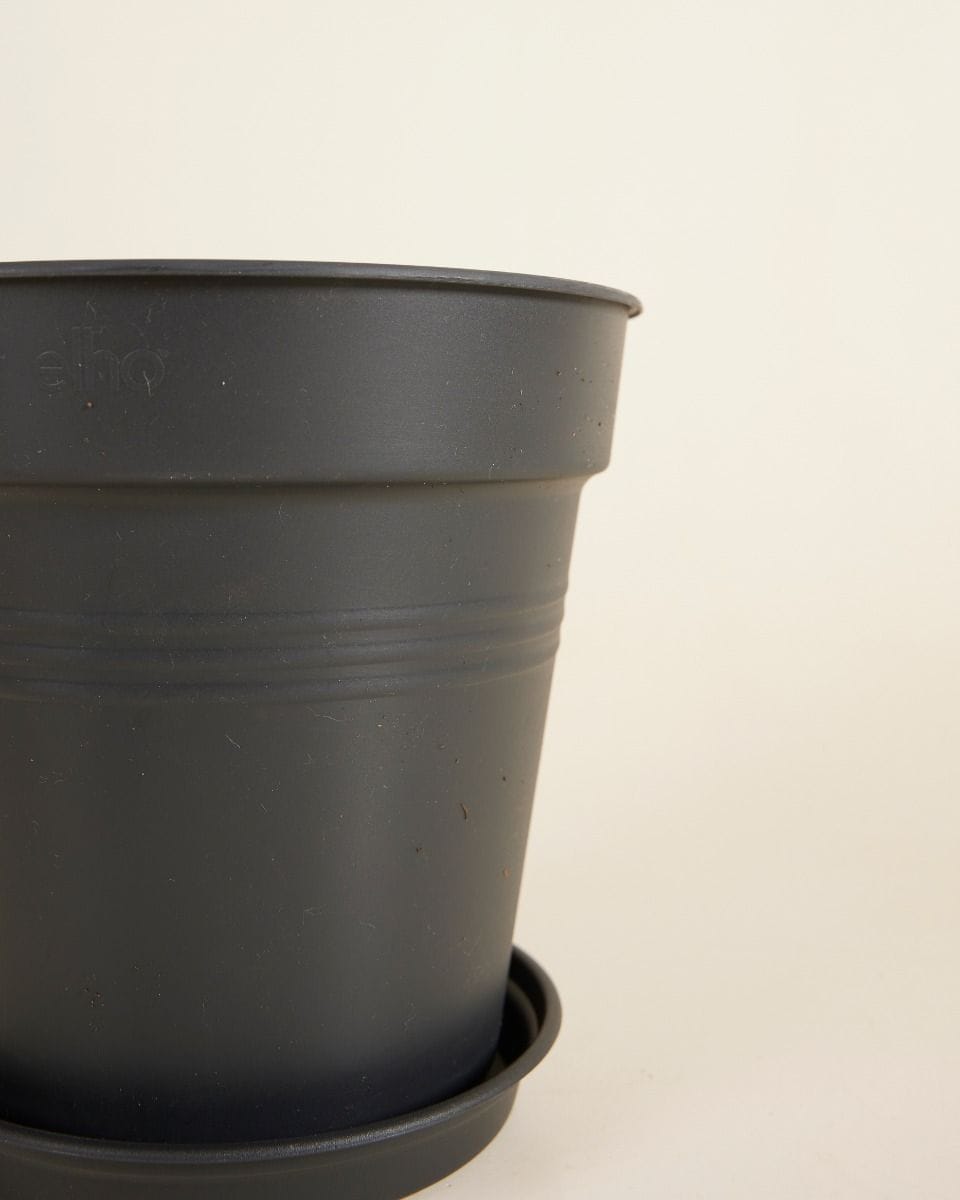 Elho Hagrid Grow Pot Productset