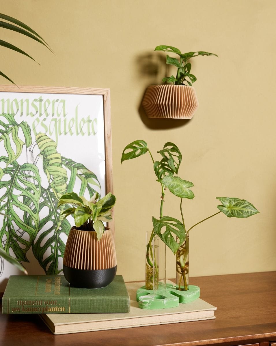 Baby Robin Wood Hängetopf Van de Mortel x Plantmama_mania