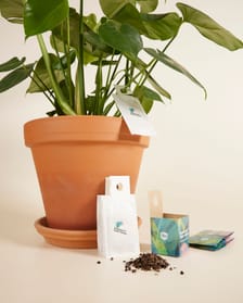 Bio pest control