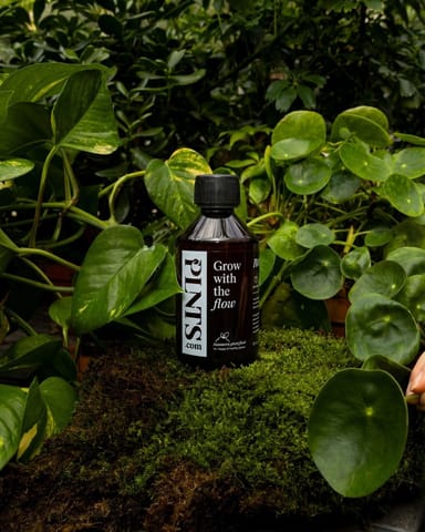 PLNTS Pflanzennahrung 250 ml