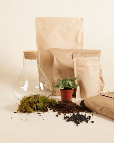 Emily Terrarium Starter Kit